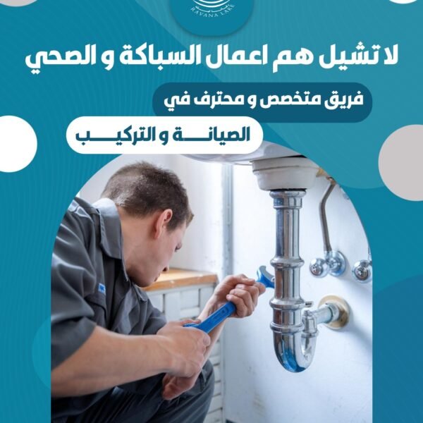 شركة رافانا ليك