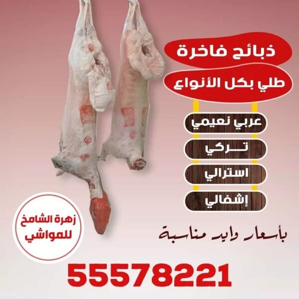 زهرة الشامخ للمواشي