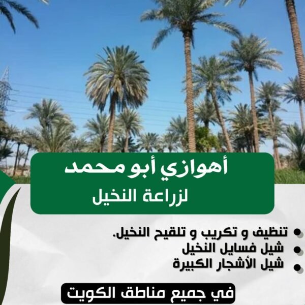 أهوازي أبو محمد لزراعة النخيل
